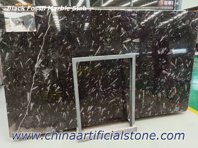 Morocco Black Fossil Marble Slabs